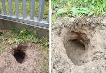 Tunel ispod žice: Migranti iz Afganistana doslovno prokopali put u Evropsku uniju