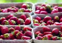 Zabranjen uvoz zamrznutih jagoda i sladoleda od pistacije u BiH