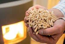 Koliko košta grijanje ove zime: Objavljene cijene peleta i drva u BiH, evo šta je skuplje