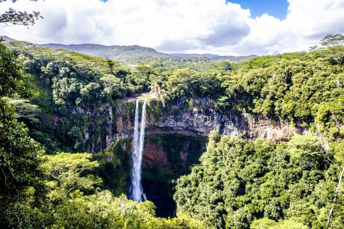 Amazonija