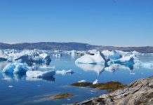 Najnovija studija: Topljenje leda na Arktiku usporeno, ali privremeno