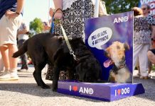 Skandal u Češkoj: Kandidatkinja za parlament bivšem mužu prijetila da će ubiti njegovog psa