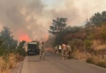 Požar u Crnoj Gori “guta” sve pred sobom: Vatrogasac povrijeđen u ekploziji, kuće zahvaćene
