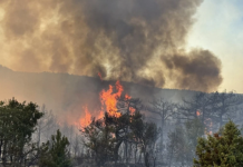 Upozorenje građanima: Zabranjeno paljenje vatre na otvorenom