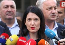 Trivić: Vjerovati Dodiku o referendumu isto kao vjerovati u Deda Mraza