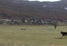 U hercegovačkoj opštini vjenčanje poslije 30 godina