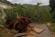 Održana vanredna sjednica CZ Grada Mostara: Oružane snage BiH pomažu u uklanjanju stabala