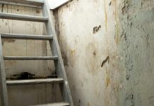 Četiri člana iste porodice jedan za drugim ušli u podrum i poginuli: Usmrtio ih tihi ubica