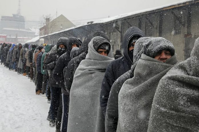 migrantii