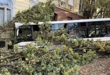 Autobus se zabio u školu u Mađarskoj: Povrijeđeno više od 20 osoba