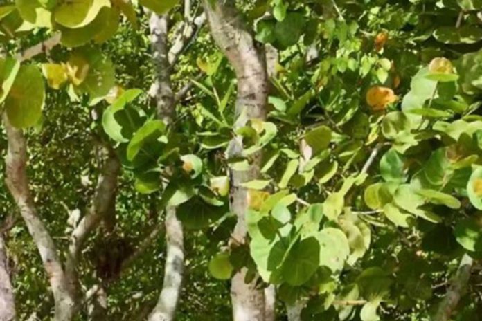 20251109164640_936859