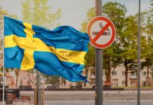 Može li se BiH uz bezdimne proizvode približiti uspjehu Švedske?