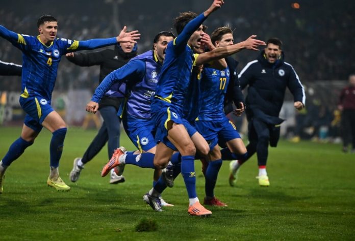 251115103.601352_xxl