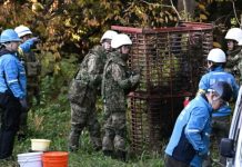 Japan hitno raspoređuje vojsku: Ubijeno 12 ljudi