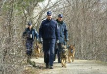 Granična policija BiH i Frontex spriječili krijumčarenje devet stranaca