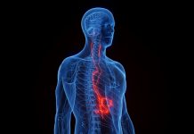 Ovo je možda najvažniji nerv u našem tijelu, a mnogi ne znaju za njega