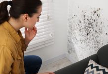 Vlaga i buđ u stanu: Treba vam samo jedna namirnica i vaši zidovi bit će čisti i suhi