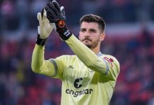 Vasilj hit u Njemačkoj: Bundesliga mu posvetila video, Barbarez reagovao