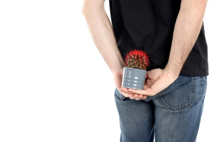 hemeroidi ilustaracija