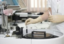 Prvi put nakon više od 40 godina: Rumunija potvrdila dva slučaja lepre