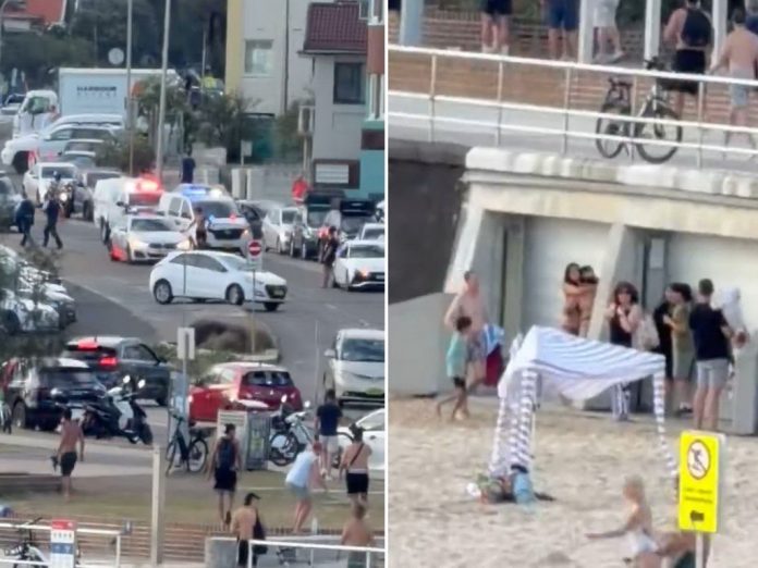 pucnjava-na-poznatoj-plazi-u-sydneyju-ubijeno-najmanje-desetero-ljudi-sydney_693e7d948cb32