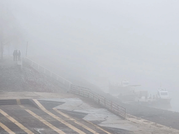 vise-migranata-poginulo-u-prevrtanju-camca-u-savi-osumnjiceni-drzavljanin-bih-u-bolnici-screenshot-2025-12-11-092009_693a7fd3484b4