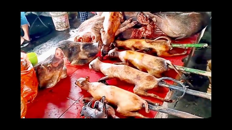 Ovo je pijaca užasa sa koje je krenuo koronavirus