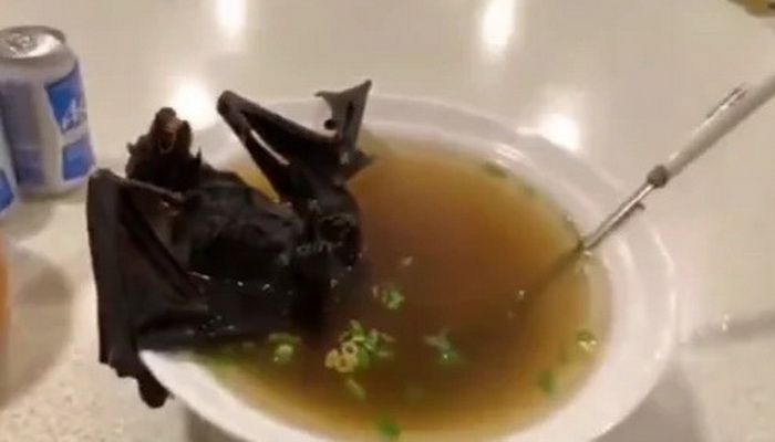 Kina: Da li je supa od slijepih miševa kriva za pojavu koronavirusa?