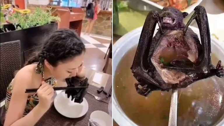 Šokantne scene: Šta su sve našli na kineskoj pijaci!