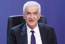 Mandić: U Federaciji BiH 55 pacijenata oporavljenih od koronavirusa