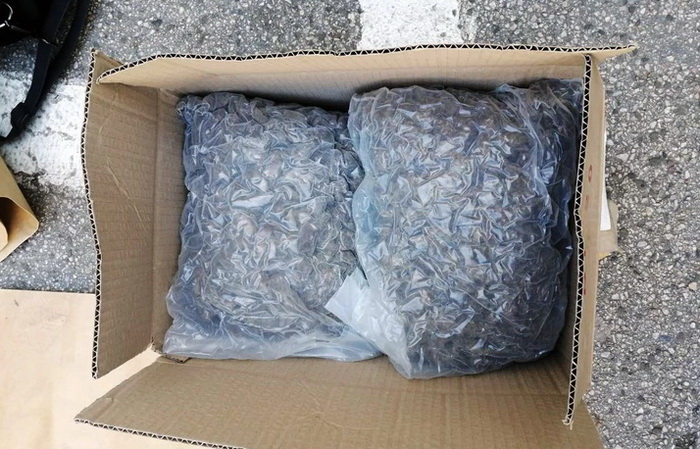 Zaplijenjeno 370 kilograma marihuane namjenjene za tržište S. Makedonije