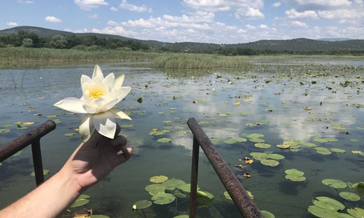 Vidić: Oživjet ćemo Park prirode Hutovo blato na zadovoljstvo svih posjetitelja