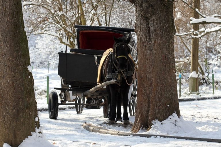 Zimska idila u Velikoj aleji