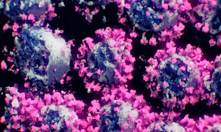 Bečki naučnici omogućili novi 3D prikaz koronavirusa