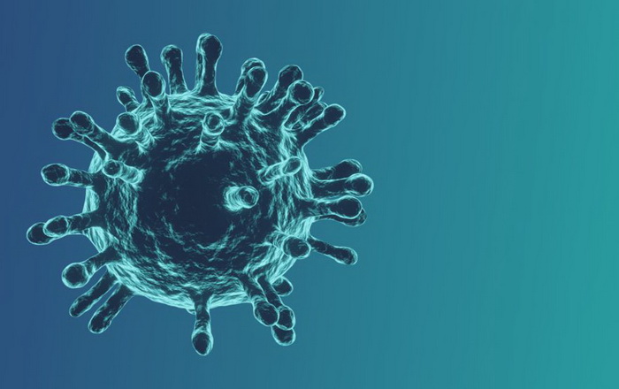 Osobe koje su imale koronavirus zaštićene su od nove zaraze kao i oni koji su vakcinisani