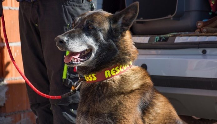 Ogulin: Kruno Stipetić iz HGSS-a i njegov pas Draco