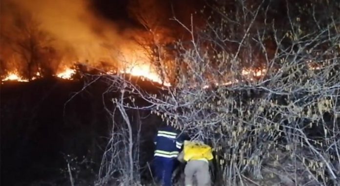 1648243337-pozar-gacko-750x412