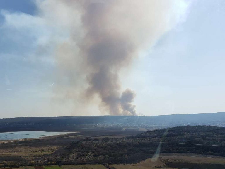 U požaru kod Ljutog Doca gori nisko raslinje i šuma