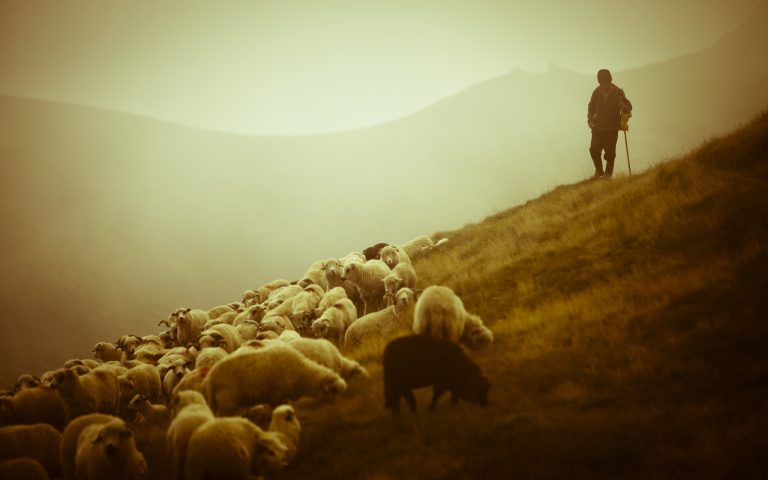 Brčak optužen da je zbog ovaca ubio poznanika