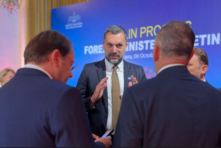 Konaković putuje u Brisel na sastanak sa Varhelyiem