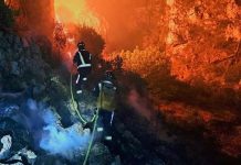 Požari u Dalmaciji stavljeni pod kontrolu