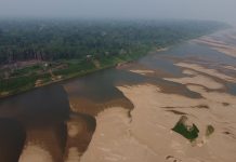 Amazonija izgubila šumu veličine Njemačke i Francuske