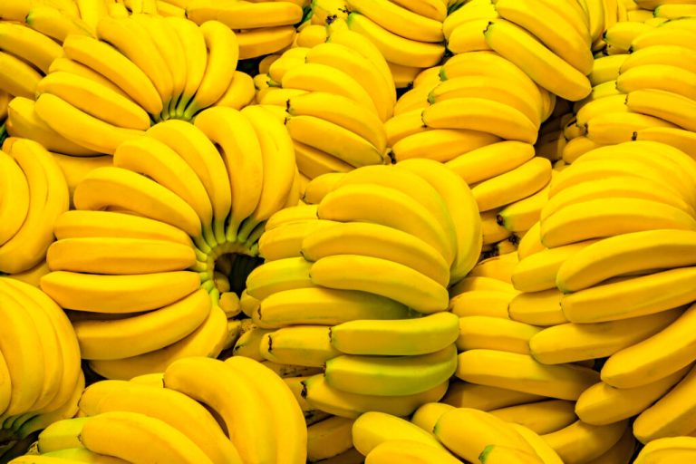 Francuska: Više od 40 kilograma kokaina pronađeno u isporuci banana
