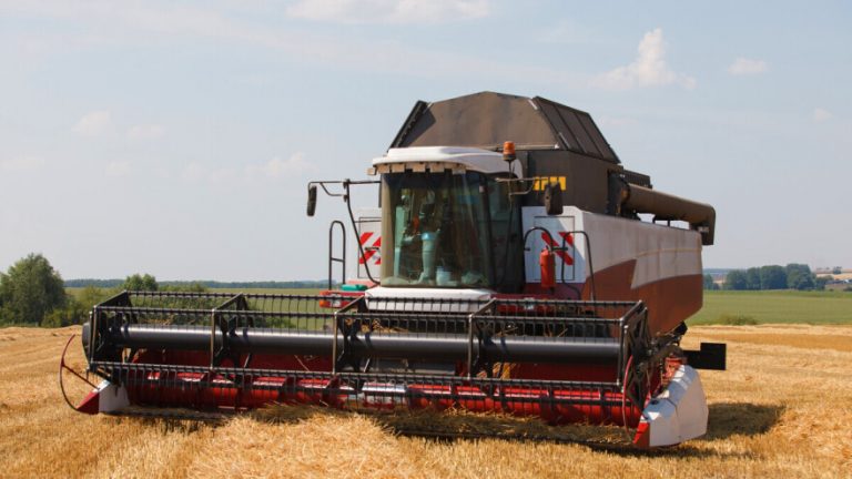 Rusija smanjuje površine pod pšenicom, odluka direktno utječe na globalno tržište