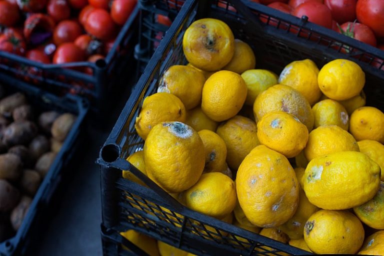 Trgovci mogu biti kažnjeni do 100.000 KM ako prodaju hranu u fazi truljenja, kvarenja ili raspadanja