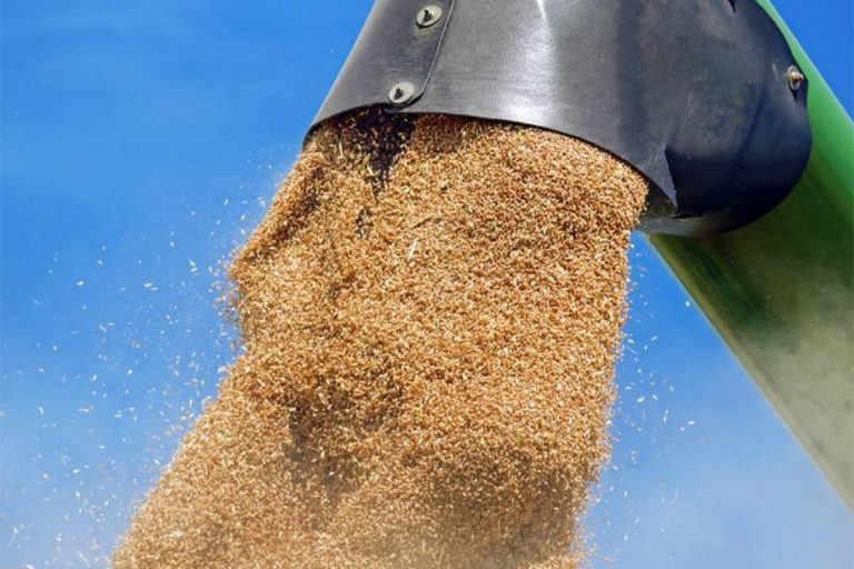 Rusija izvezla rekordnih 72 miliona tona žitarica