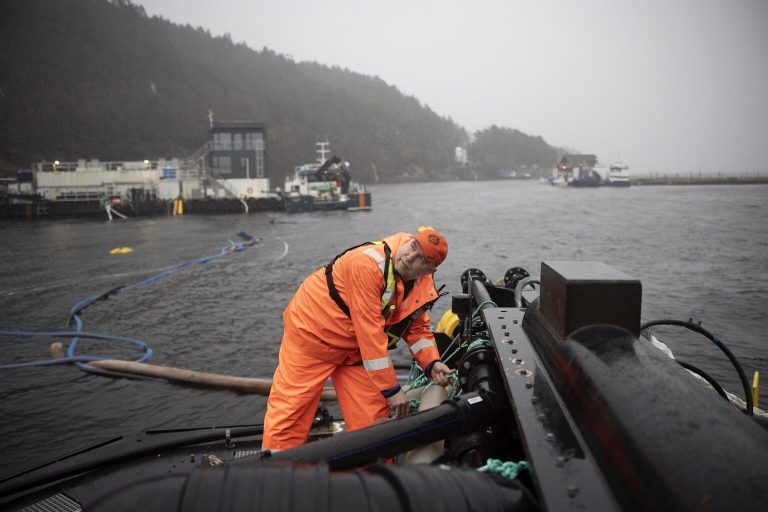 Pobjeglo 27.000 lososa u Norveškoj, strahuje se od velike katastrofe
