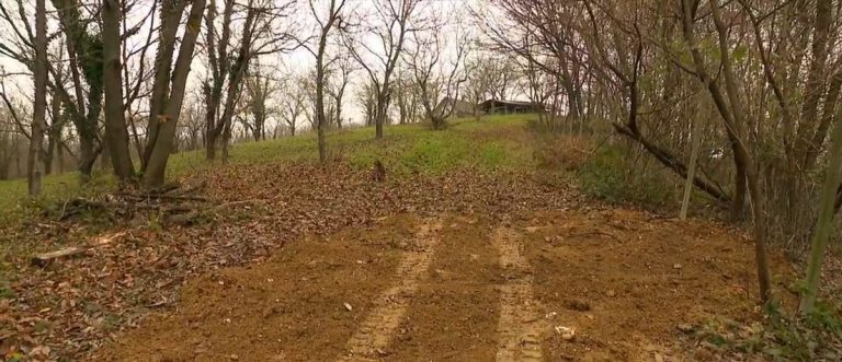 Čeka se nalaz obdukcije beba: Roditelj ih zakopali u šumu, pušteni iz pritvora