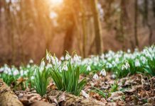 Meteorolozi objavili detaljnu vremensku prognozu do polovine maja