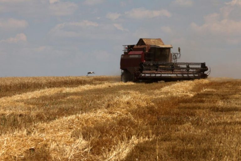 U BiH uvoz žitarica 15 puta veći od izvoza